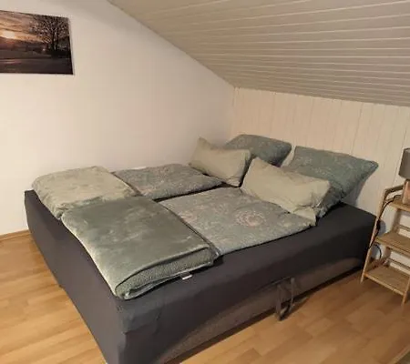 Dallinger Apartment